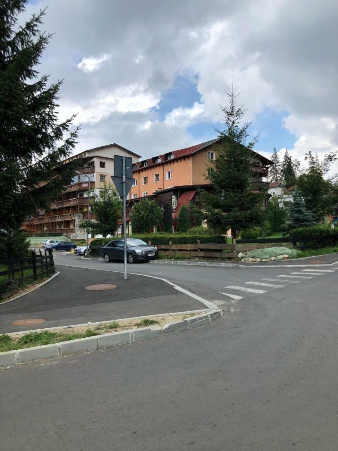 Studio Alex Poiana Brașov Zewnętrze zdjęcie